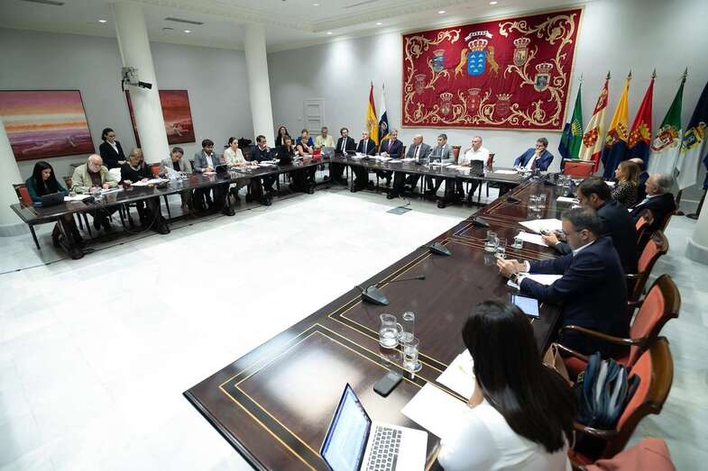 Imagen de la reunión de la Comisión de Presupuestos del Parlamento canario (Foto TA)